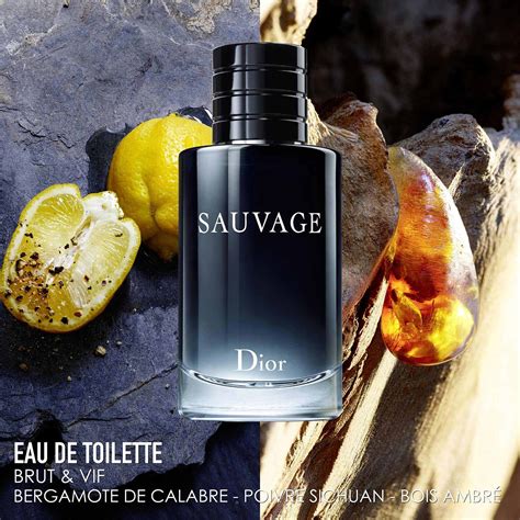 dior sauvage fragrance notes